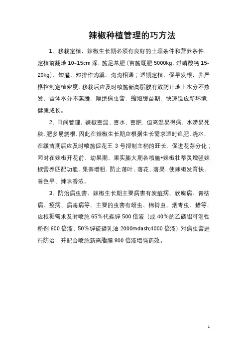 辣椒种植管理的巧方法