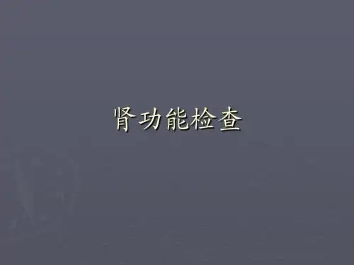 肾功能检查