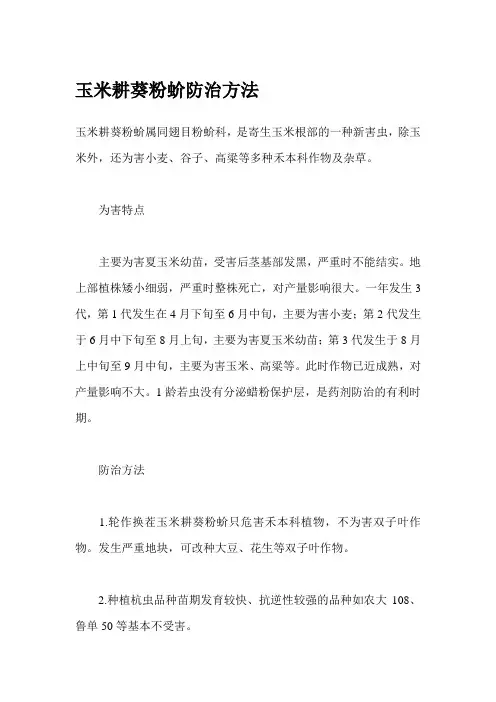 玉米耕葵粉蚧防治方法