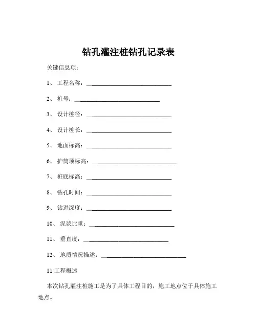 钻孔灌注桩钻孔记录表