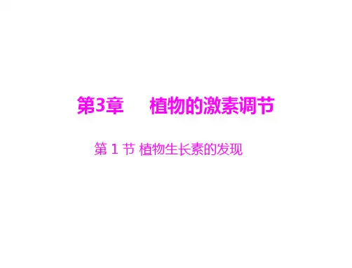 生物必修Ⅲ人教新课标3-1植物生长素的发现课件(27张)