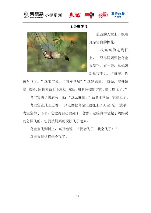 最新苏教版二年级语文上册第四单元 8.小鹰学飞 (类文)