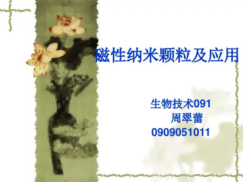 磁性纳米颗粒及其应用