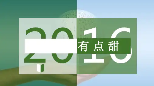 营销渠道管理案例分析ppt课件