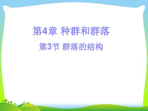 群落的结构-课件