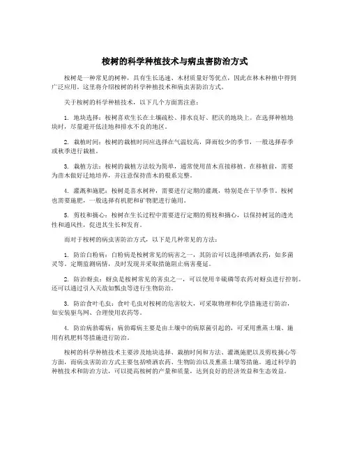 桉树的科学种植技术与病虫害防治方式