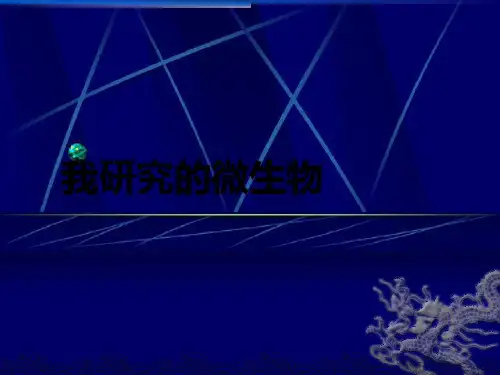 大象版科学五年级下册 第五单元《我研究的微生物》课件3