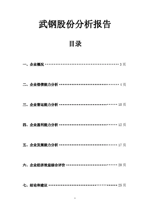 武汉钢铁股份有限公司财务分析(下载)