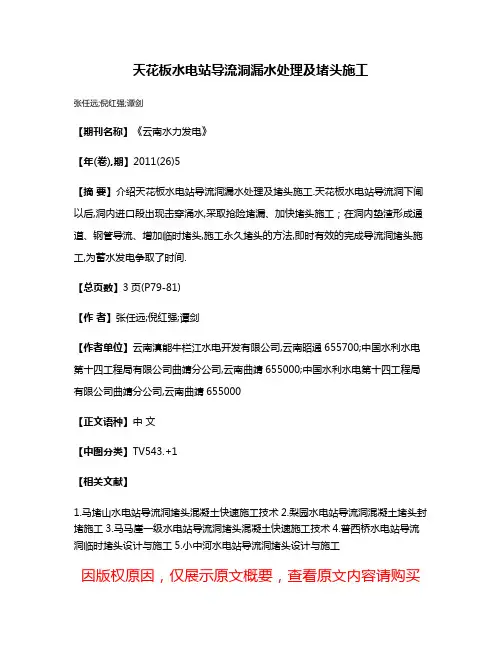 天花板水电站导流洞漏水处理及堵头施工