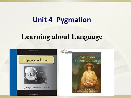 人教课标版高中英语选修8Unit4Learning about languagePPT课件39