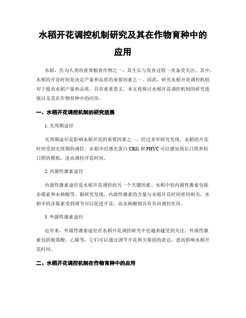 水稻开花调控机制研究及其在作物育种中的应用