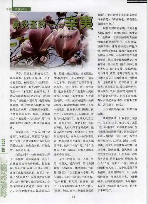 鼻炎圣药——辛夷