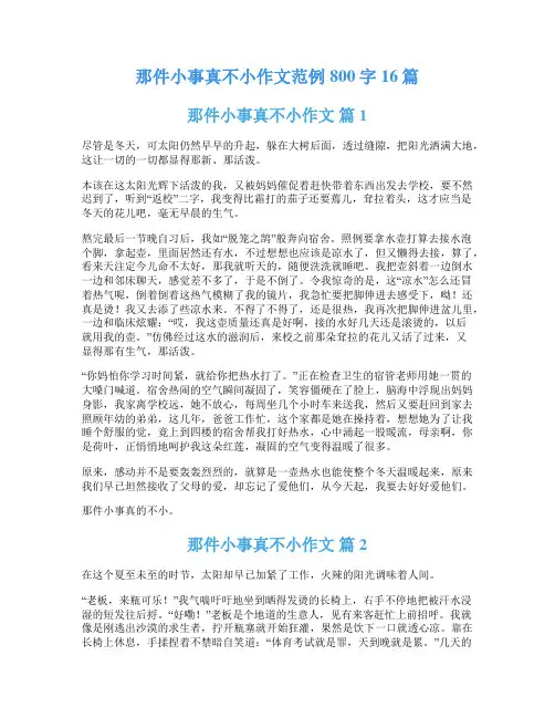 那件小事真不小作文范例800字16篇