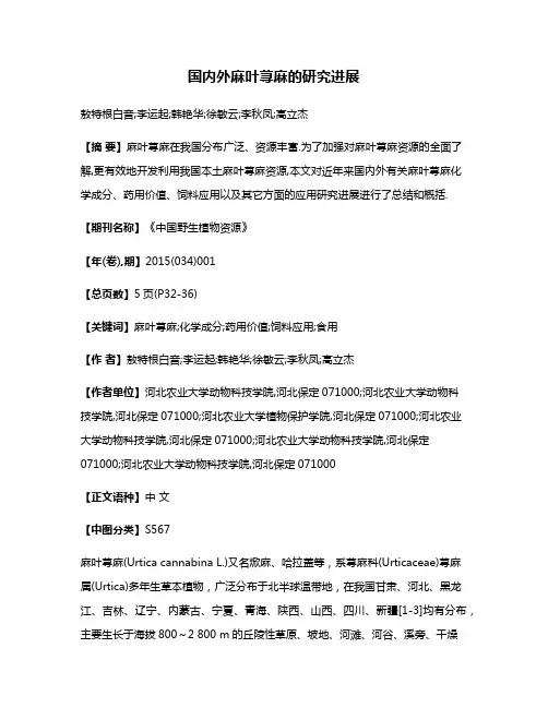 国内外麻叶荨麻的研究进展