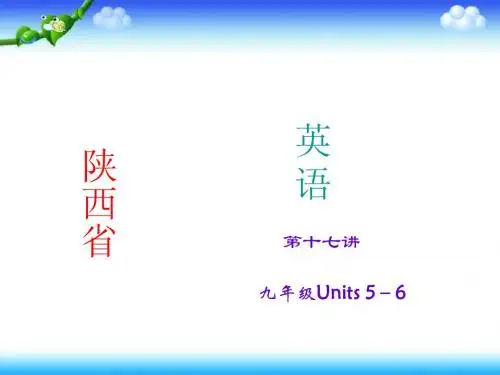 2015年中考英语(人教版·陕西)考点精讲 第17讲  九年级Units5-6