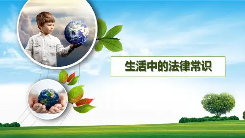 生活中的法律常识PPT课件