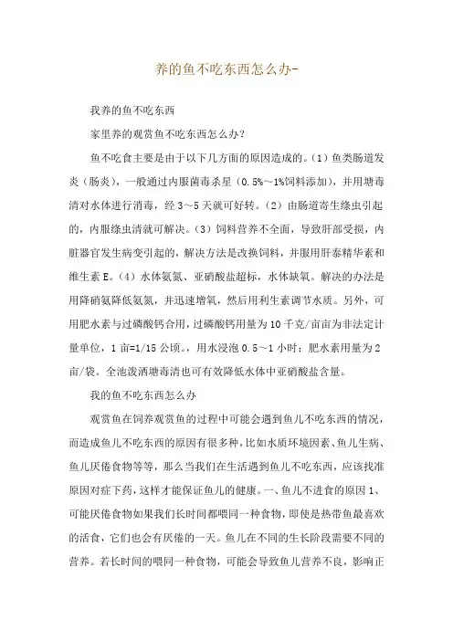养的鱼不吃东西怎么办--我养的鱼不吃东西