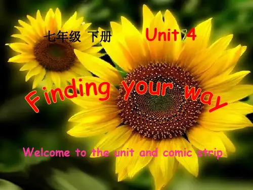 牛津译林英语七年级下册Unit4Welcome to the unit(共41张PPT)