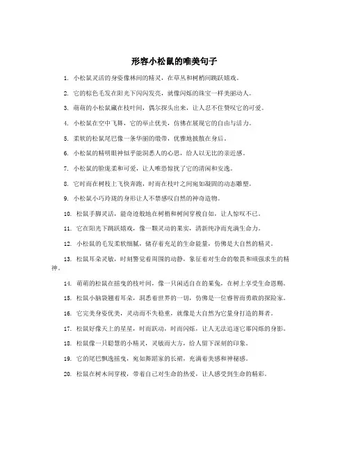 形容小松鼠的唯美句子