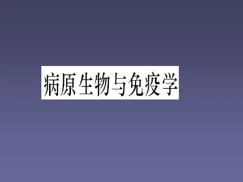 医学原虫ppt课件