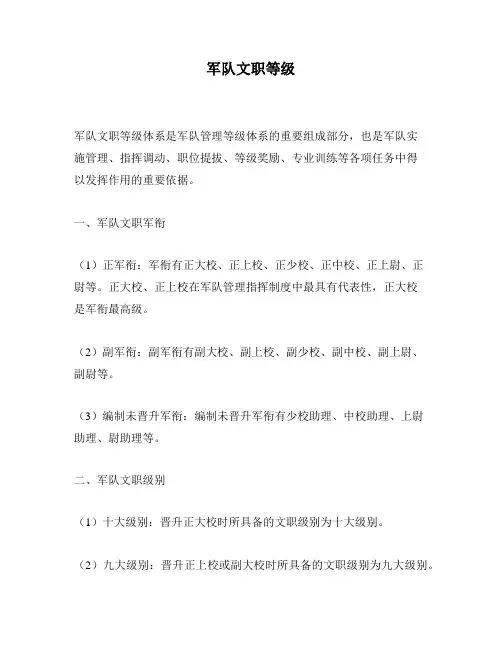 军队文职等级