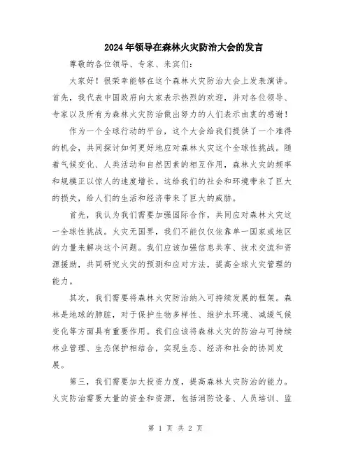 2024年领导在森林火灾防治大会的发言