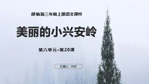 部编版三年级语文上册第六单元《美丽的小兴安岭》PPT模板