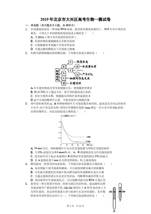 2019年北京市大兴区高考生物一模试卷解析版