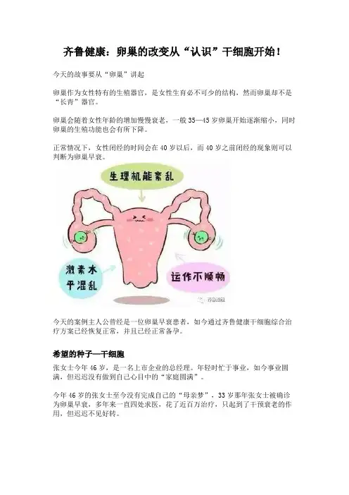 齐鲁健康：卵巢的改变从“认识”干细胞开始!