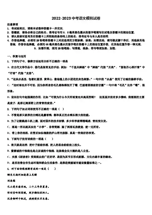 2023年江苏省苏州市实验中学中考语文模拟精编试卷含解析