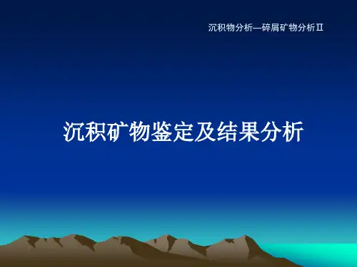 沉积矿物鉴定及结果分析