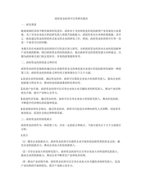 政府资金扶持可行性研究报告