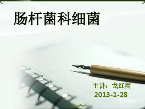 肠杆菌科细菌介绍ppt课件