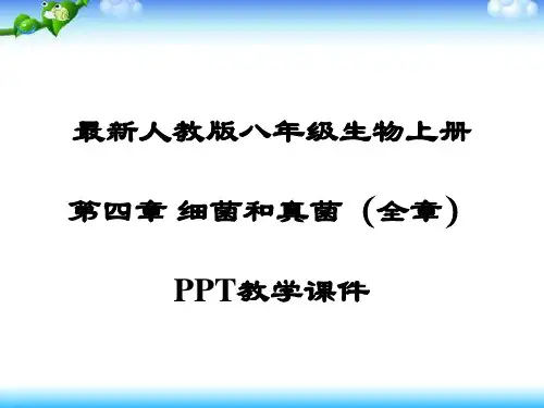 4最新部编人教版八年级生物上册《第四章 细菌和真菌(全章)》PPT教学课件