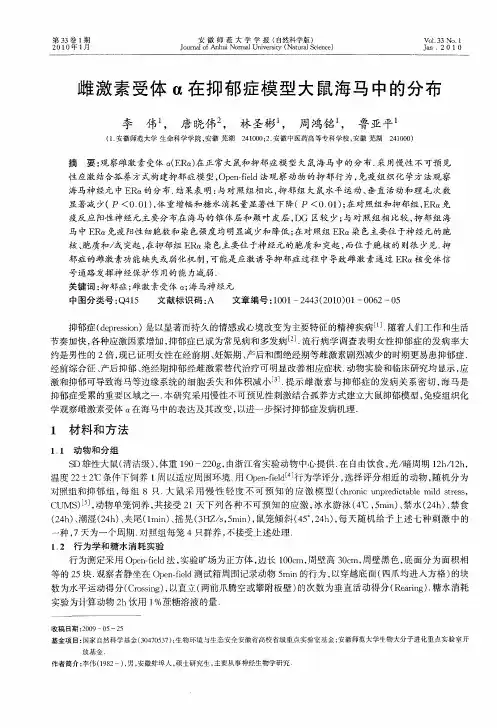 雌激素受体α在抑郁症模型大鼠海马中的分布