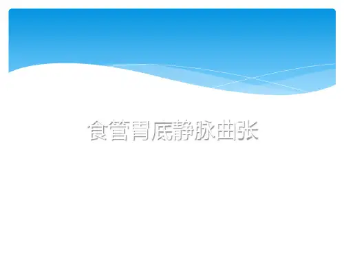 食管胃底静脉曲张护理查房PPT课件