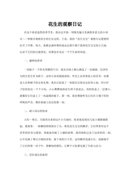 【日记】花生的观察日记