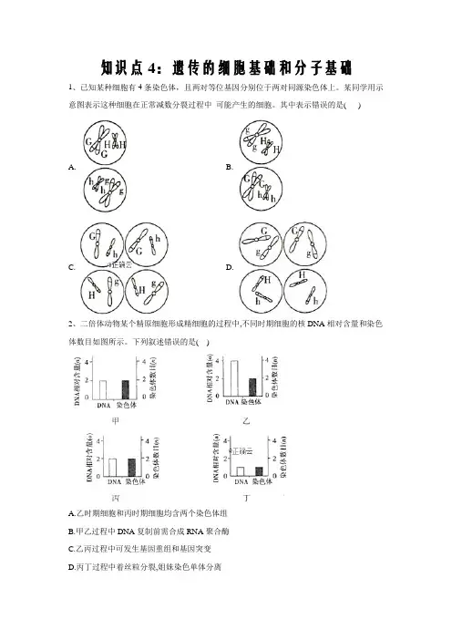 高考生物真题专项汇编卷(2017-2019)知识点4：遗传的细胞基础和分子基础word版