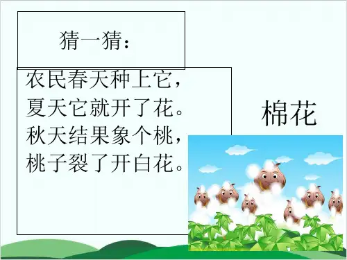 (一下)语文PPT课件-19《棉花姑娘》人教部编版(20页)