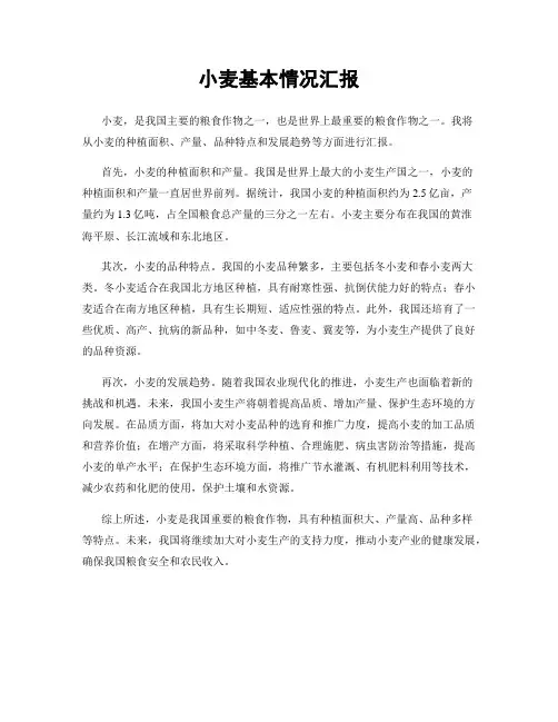 小麦基本情况汇报