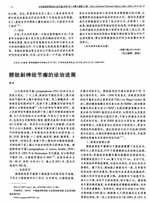 膀胱副神经节瘤的诊治进展