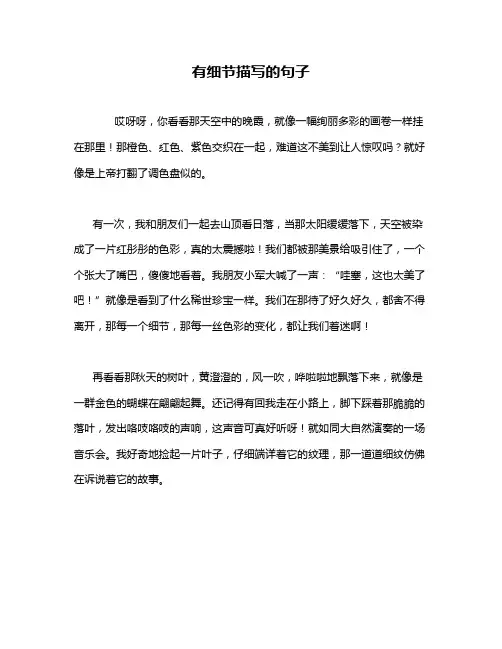 有细节描写的句子