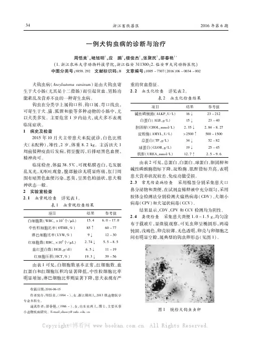 一例犬钩虫病的诊断与治疗