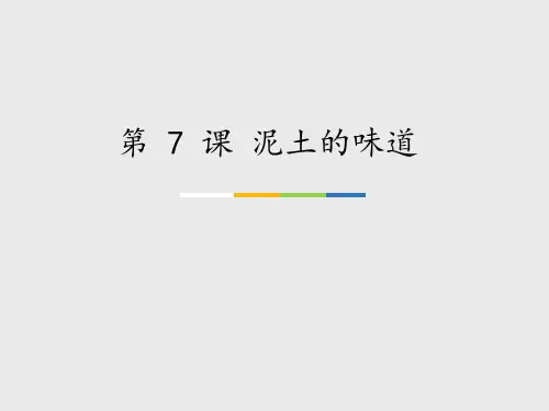 苏少版(初中二年级)八年级美术上册第 7 课 泥土的味道