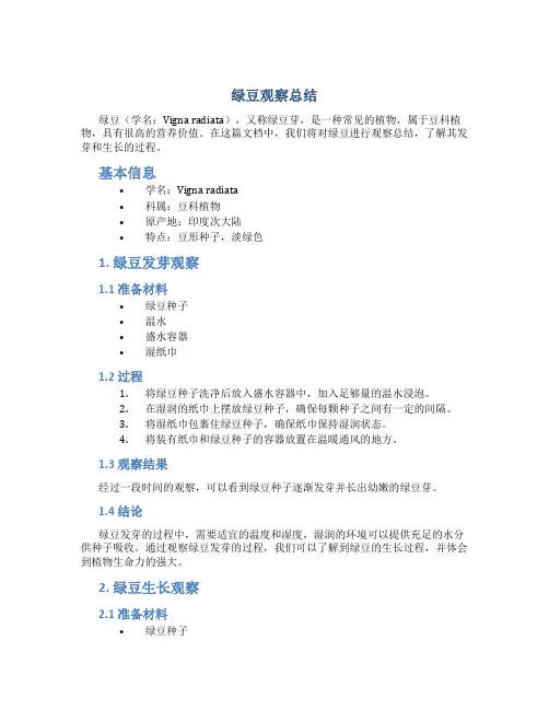 绿豆观察总结