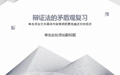 辩证法的矛盾观复习