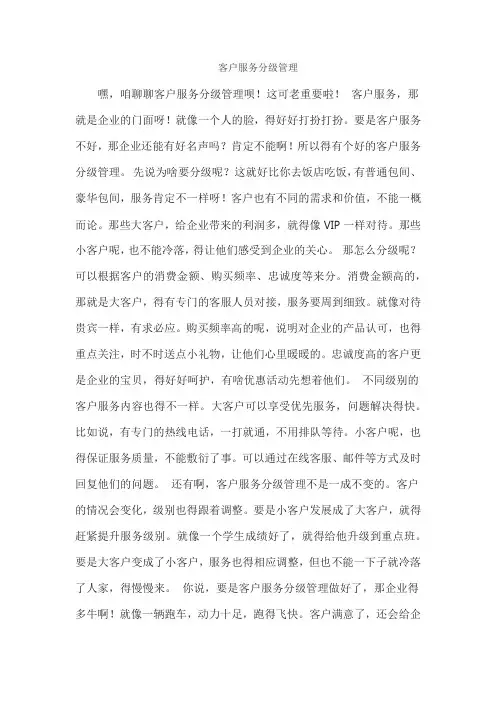 客户服务分级管理