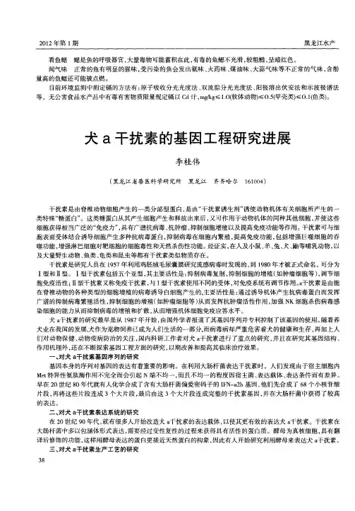 犬a干扰素的基因工程研究进展