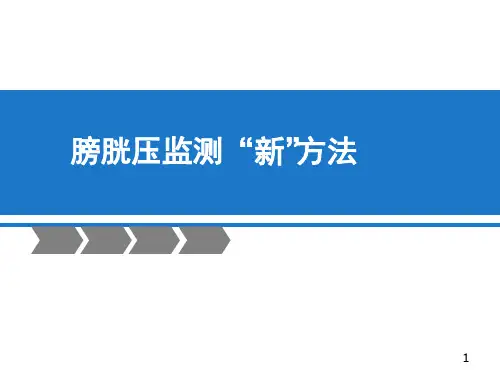 膀胱压监测新方法ppt课件