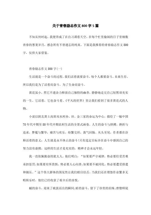 关于青春励志作文800字5篇